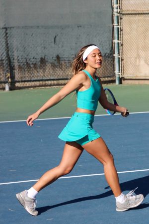 Macy Skirt – Coast